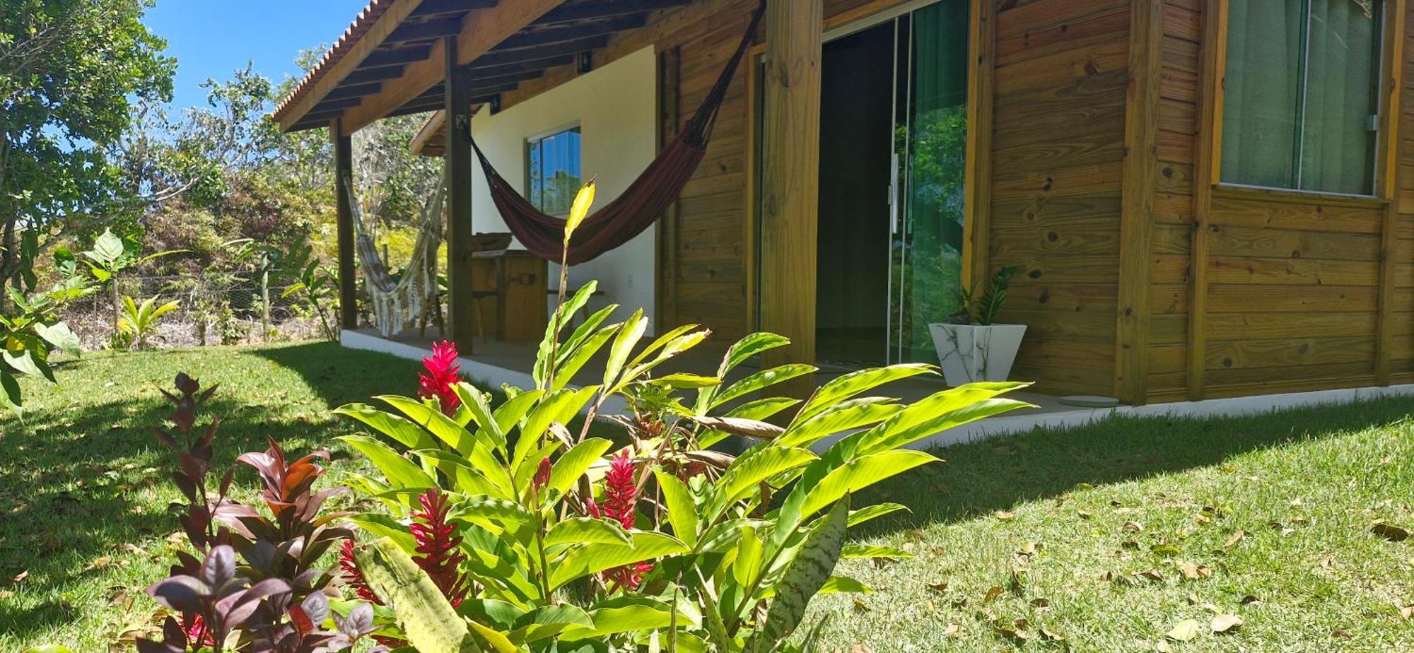 Solar Bromelias
